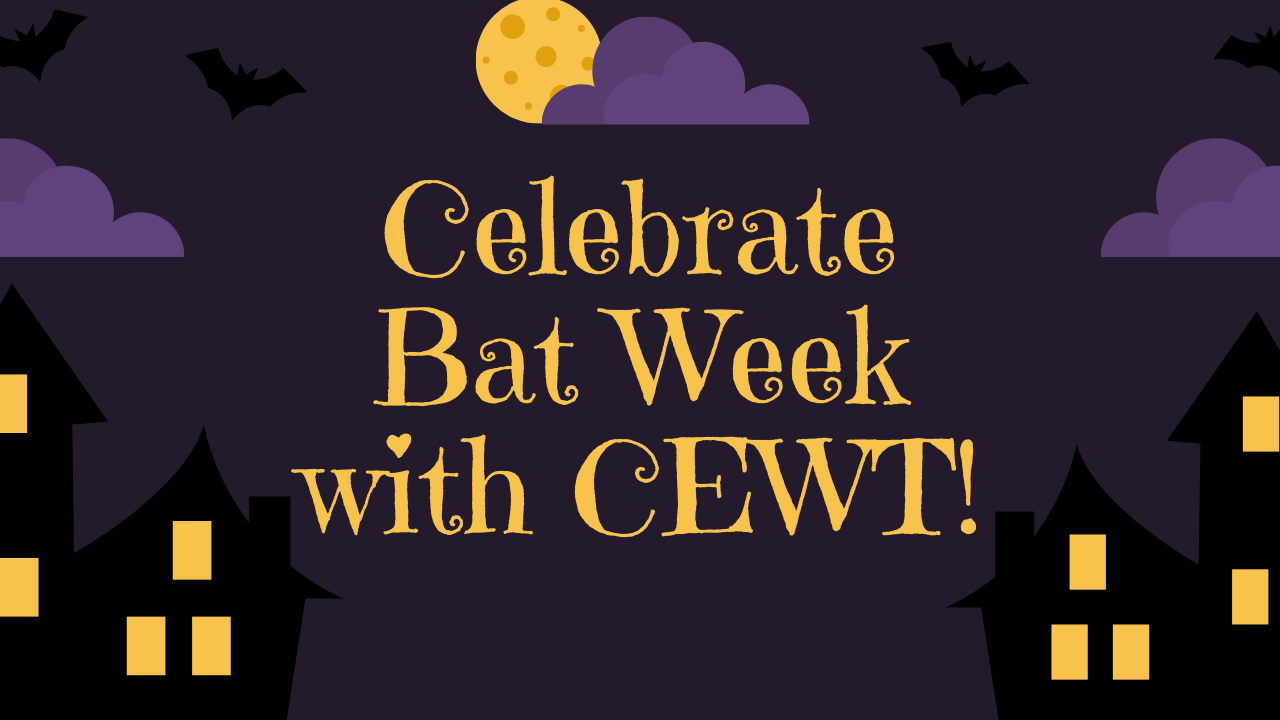 Nanana Nanana… Bat Week!